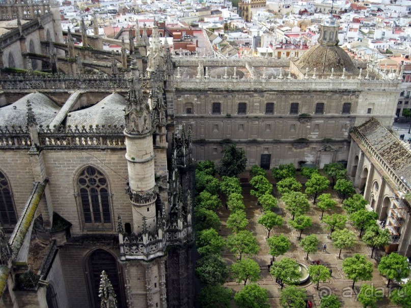 Апельсиновый дворик Кафедрального собора