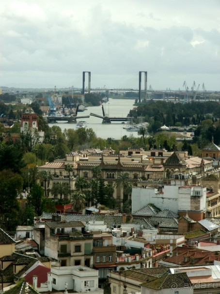 Вид на город с башни Хиральда