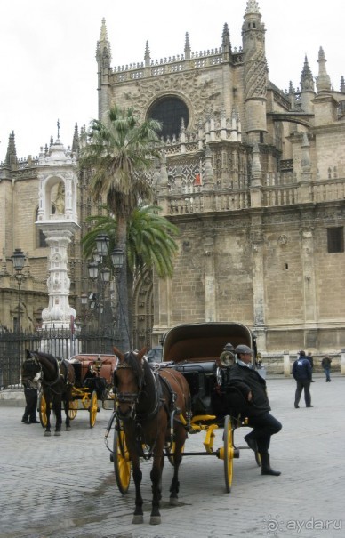Севилья - площадь перед Кафедральным собором