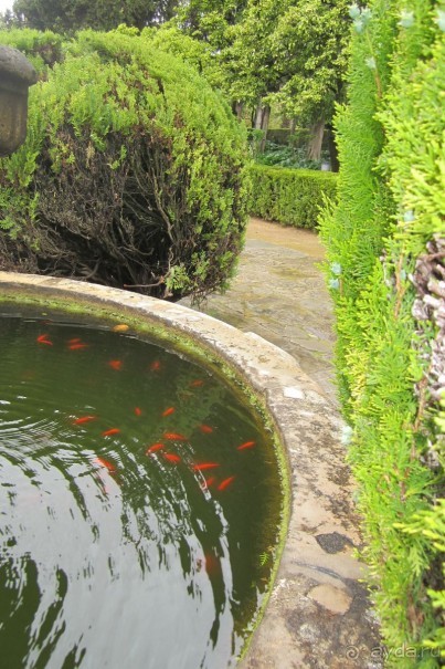  Алькасар -сады