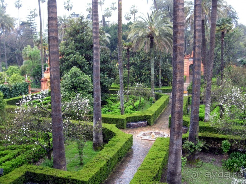  Алькасар -сады