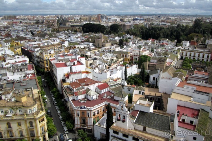 Вид на город с башни Хиральда