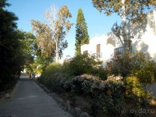 фото Paphos Gardens Holiday Resort