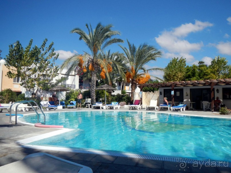 Бассейн Oasis