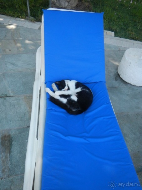 И у бассейна тоже