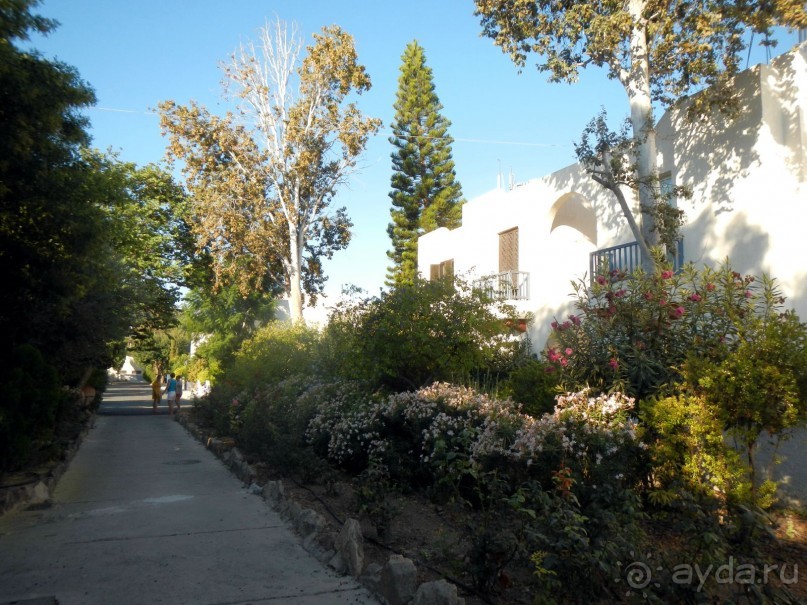 Территория между корпусами