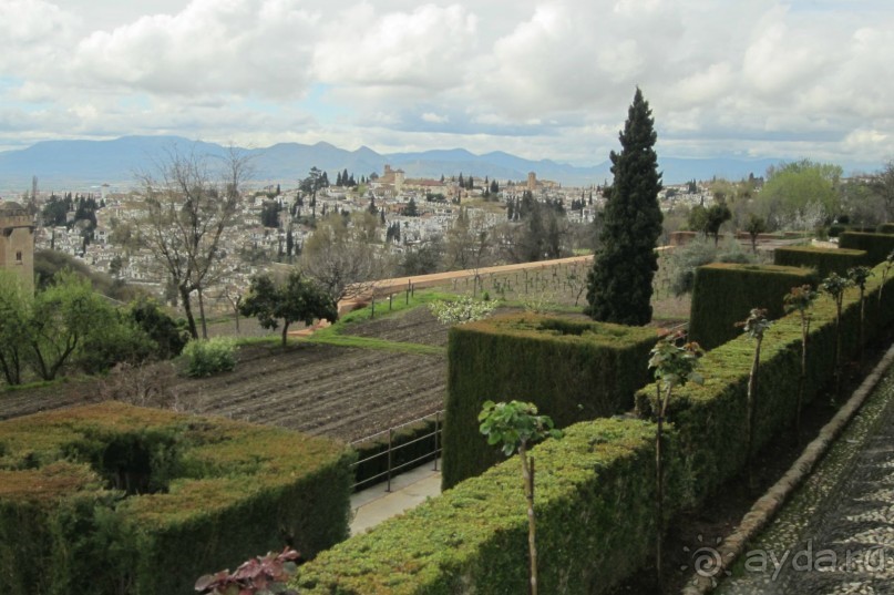 Вид на Альгамбру из садов Генералифе