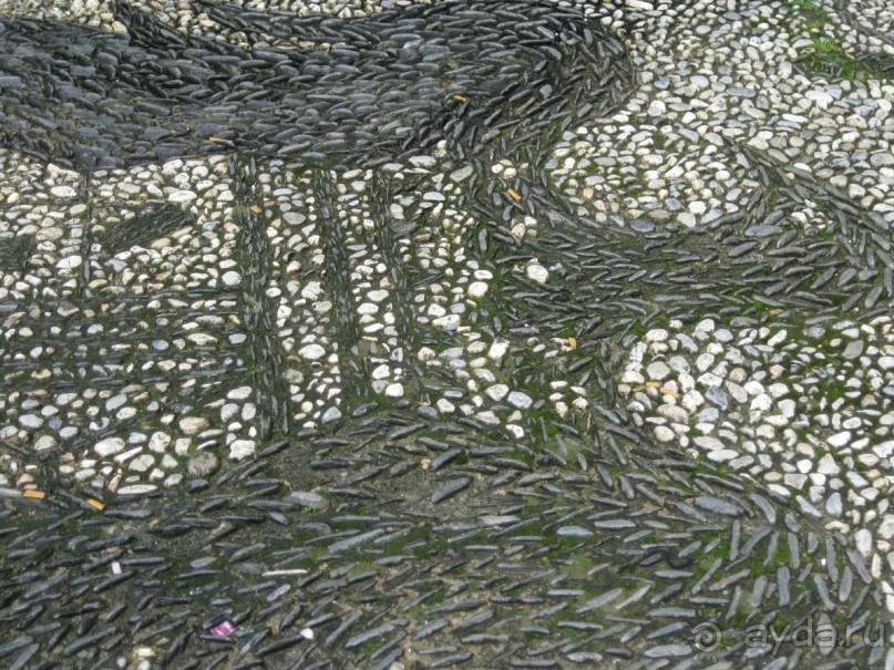 Орел под ногами...