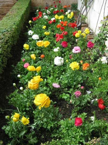 Сады Генералифе