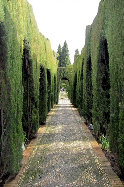 Сады Генералифе