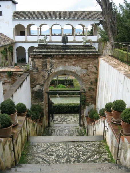 Вид на Альгамбру из садов Генералифе