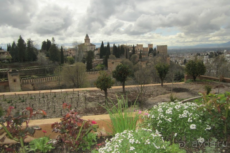 Вид на Альбайсин из садов Генералифе