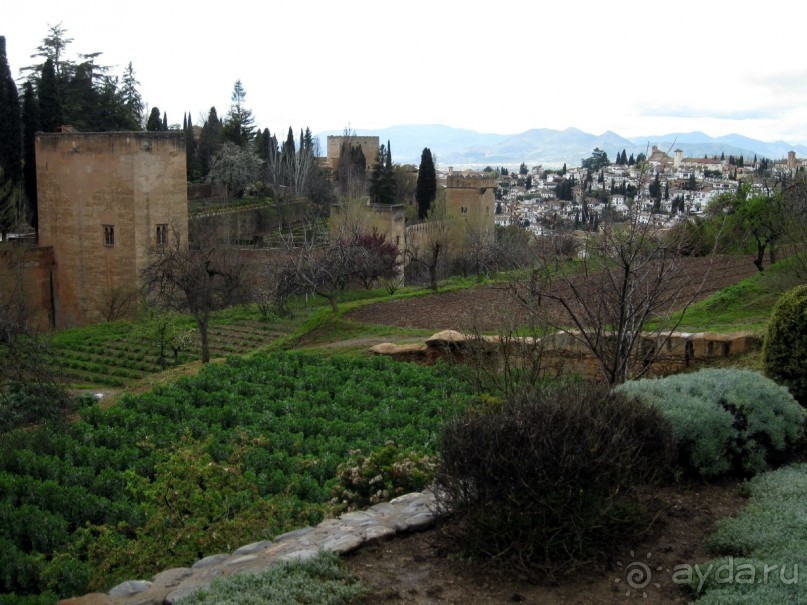 Альгамбра - огороды