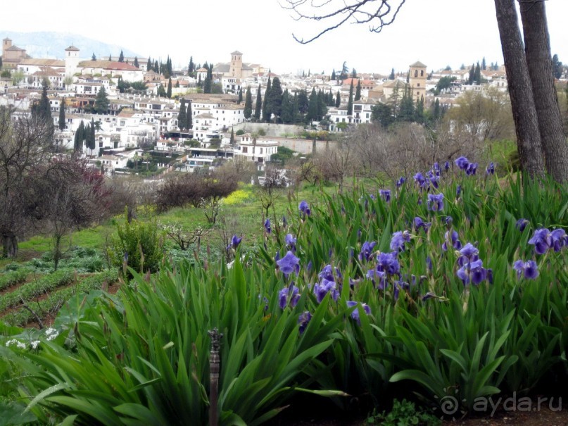 Сады Генералифе