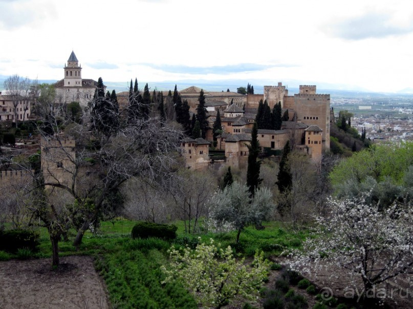 Вид на Альгамбру из садов Генералифе