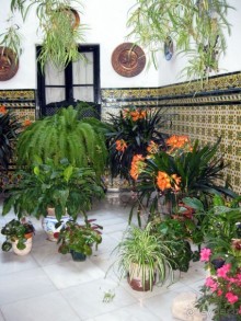 Альбом отзыва "Испанская баллада из Мадрида. Часть 4 - Кордоба"