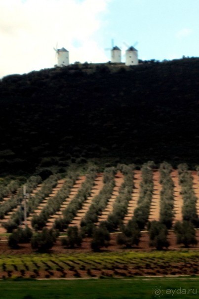 По дороге в Кордобу - ветряные мельницы