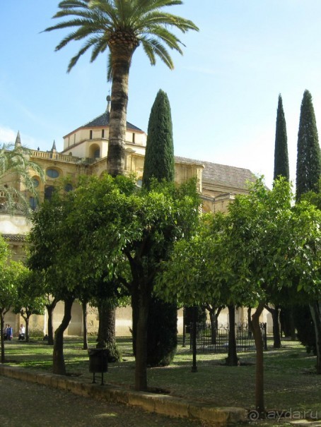 Кордоба - внутренний дворик мечети-собора