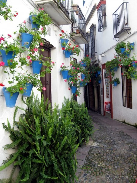 Кордоба - улочки