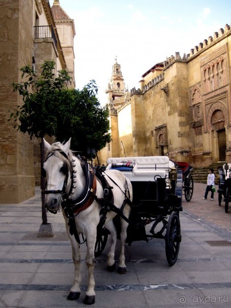 Кордоба - мечеть-собор снаружи