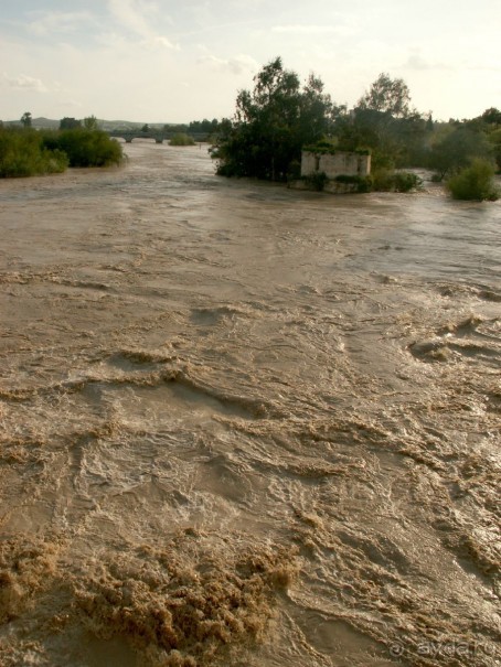Севилья ночью