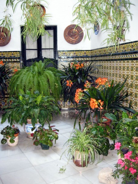 Кордоба - улочки