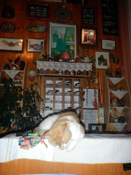 фото Ea Hotel Jasmin