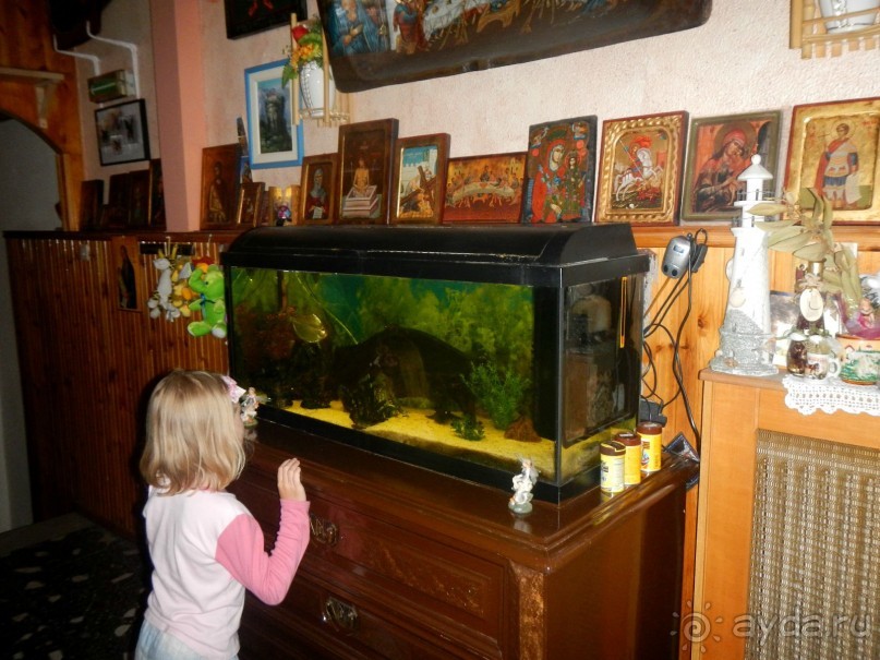 фото Ea Hotel Jasmin