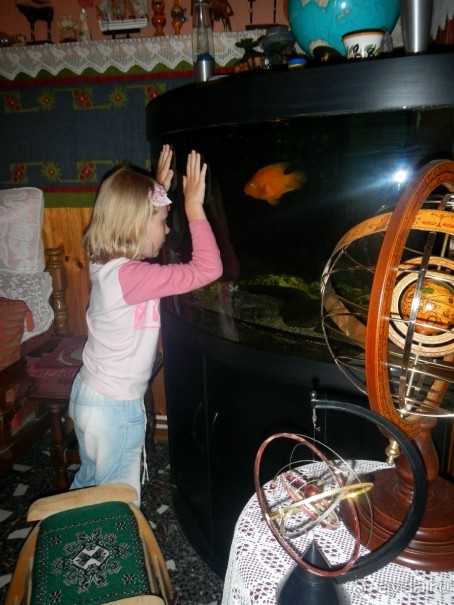 На одну ночь можно и здесь...