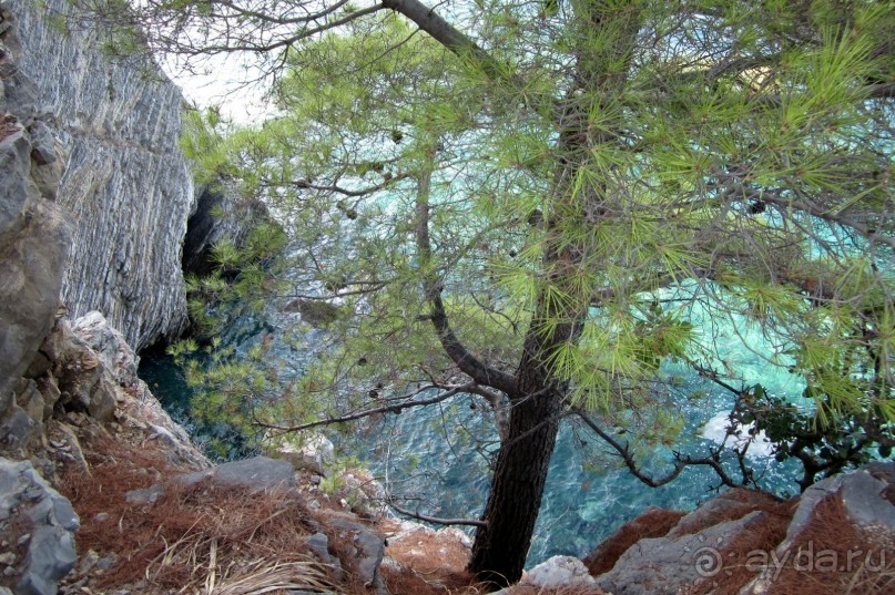 Впервые в Черногорию с маленькими детьми самостоятельно. Часть 3