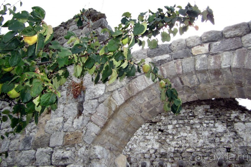 Впервые в Черногорию с маленькими детьми самостоятельно. Часть 3