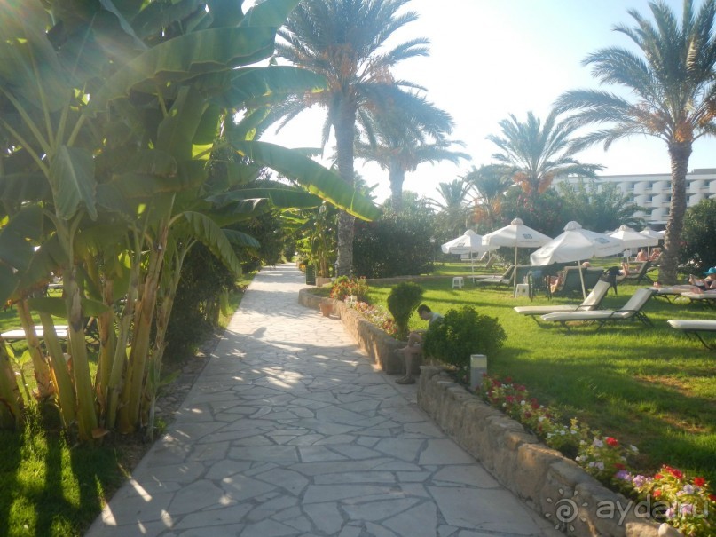 фото Leonardo Cypria Bay Hotel