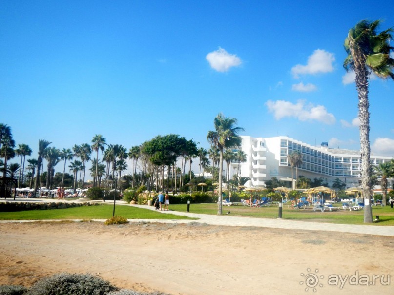 фото Leonardo Cypria Bay Hotel
