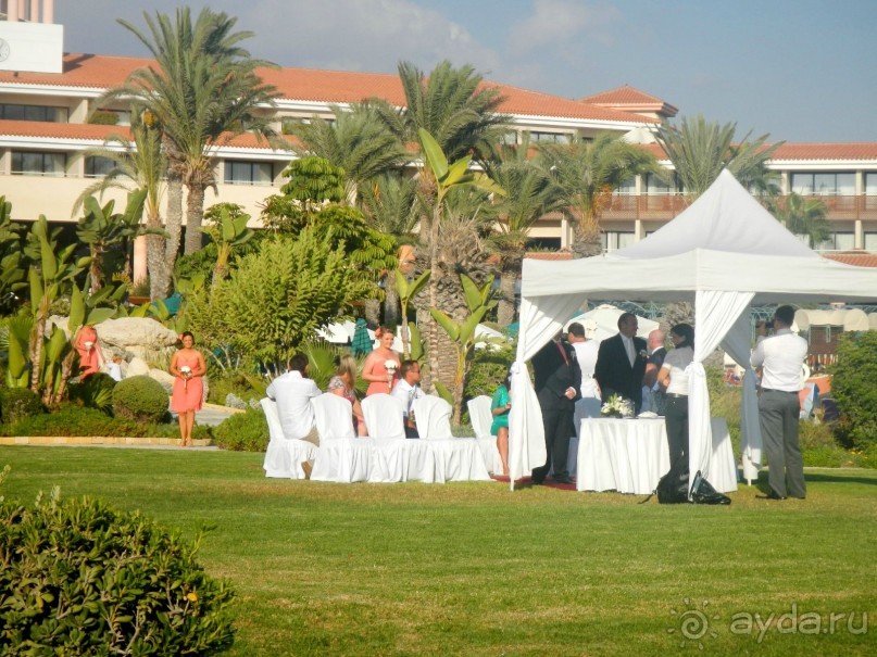 фото Leonardo Cypria Bay Hotel