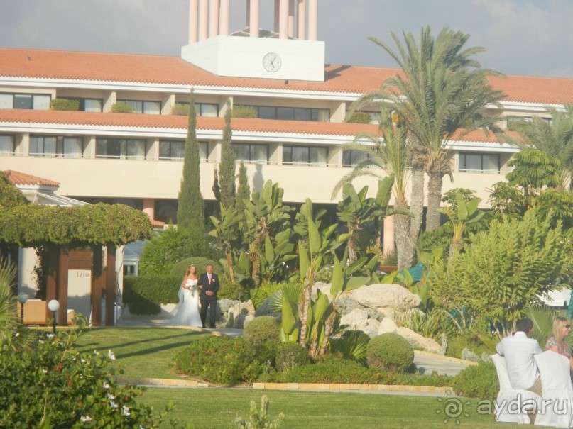 фото Leonardo Cypria Bay Hotel