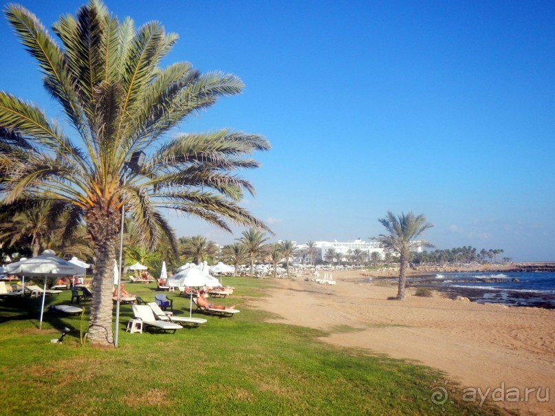 фото Leonardo Cypria Bay Hotel