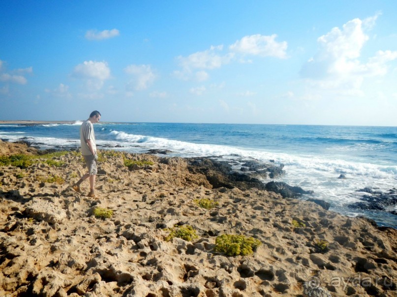 фото Leonardo Cypria Bay Hotel