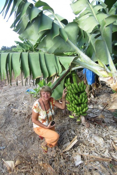 На недельку, до второго, я уеду ... в Пафос
