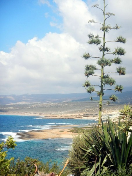 На недельку, до второго, я уеду ... в Пафос
