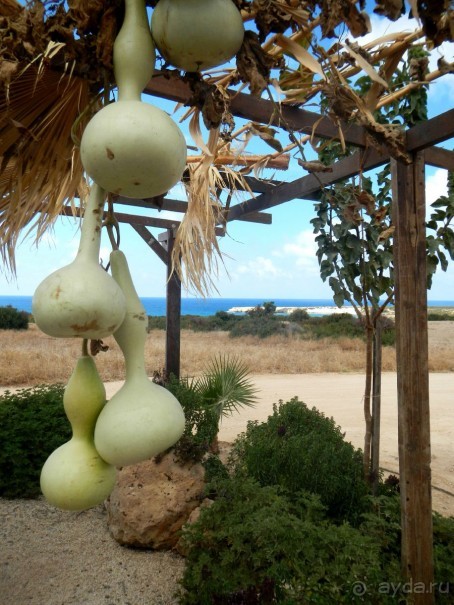 На недельку, до второго, я уеду ... в Пафос