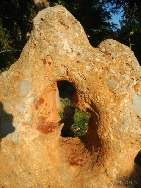 фото Sun Rise Apartments