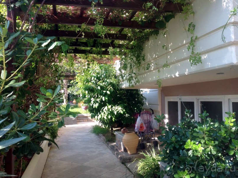 фото Sun Rise Apartments