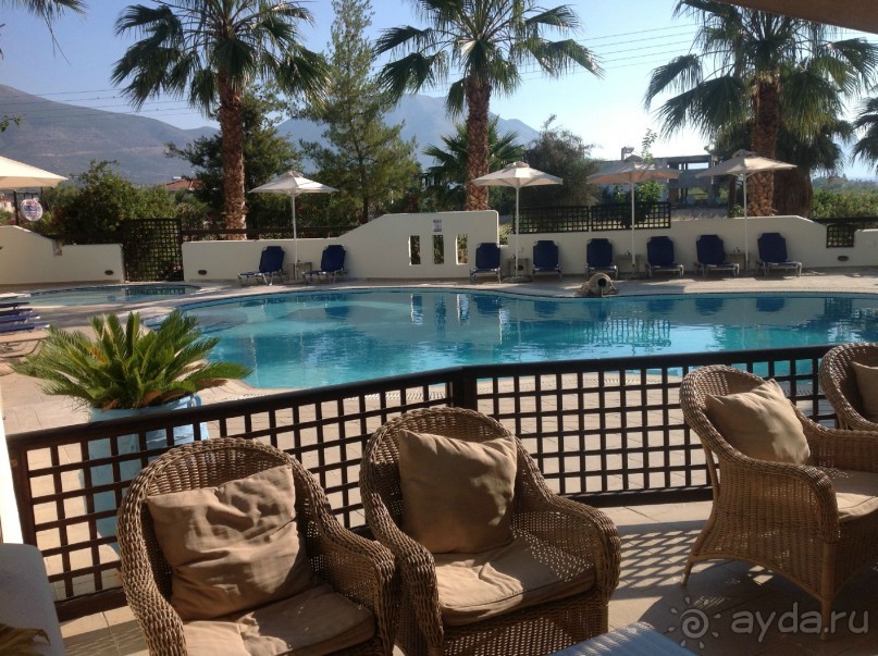 фото Sun Rise Apartments