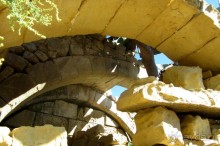 Виктория - Цитадель