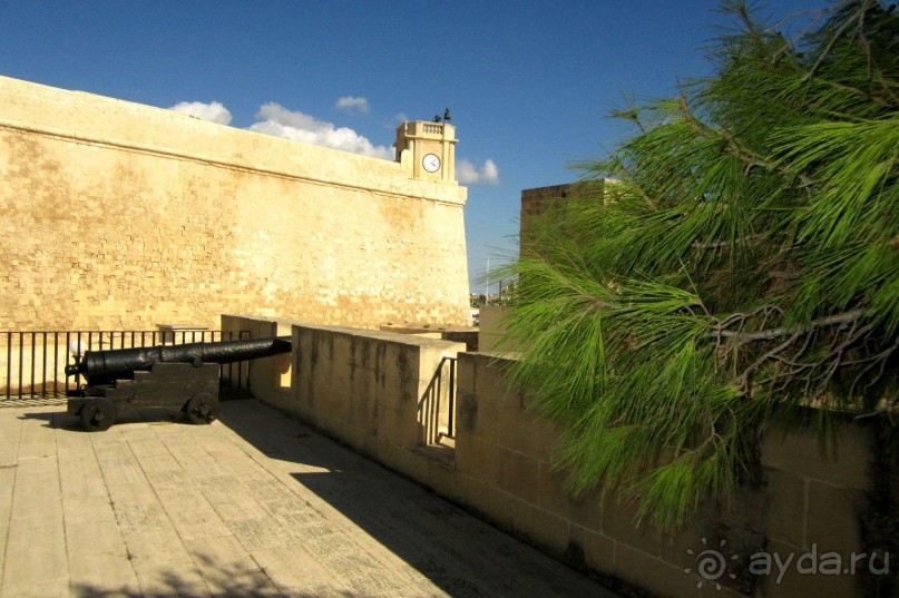 Виктория - Цитадель