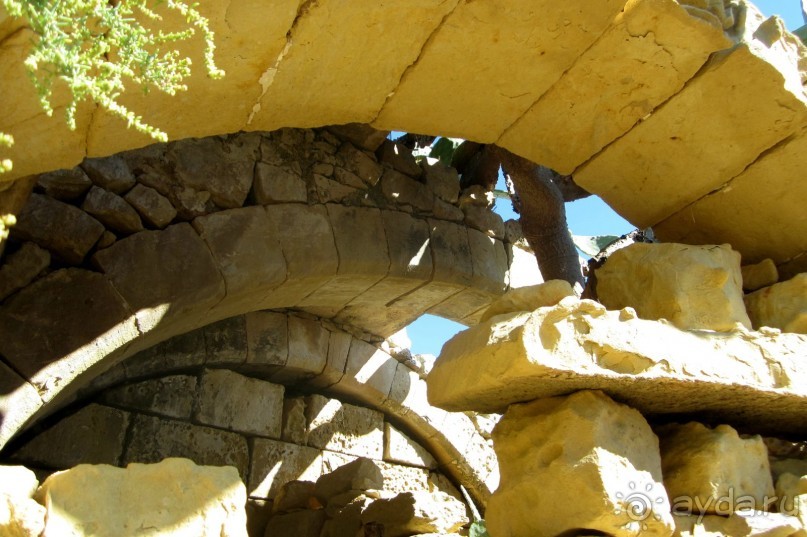 Виктория - Цитадель