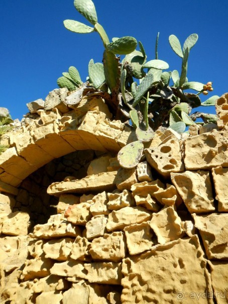 Виктория - Цитадель