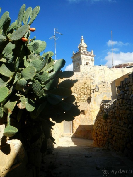 Виктория - Цитадель