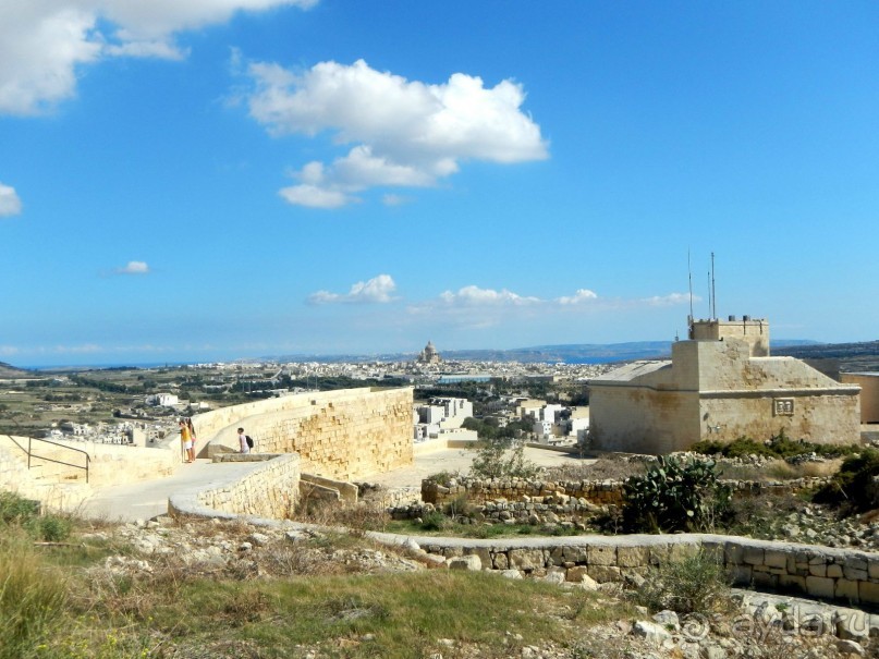 Виктория - Цитадель