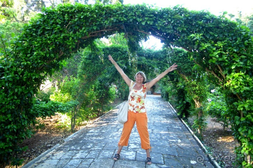 Аттард - сады св. Антония